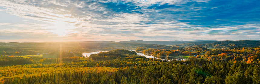 Nyckelpiga Nyckelpiga